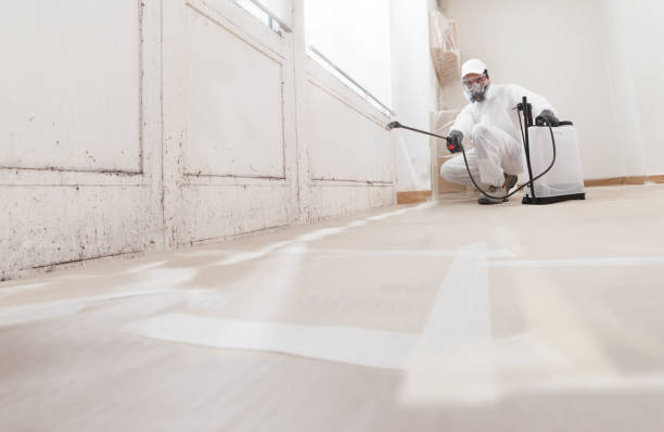 24/7 Emergency Mold Remediation experts in Bolingbrook, IL